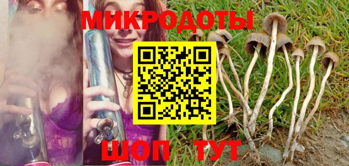 наркошоп  Вход с VPN  Галлюциногенные грибы Cubensis  Спасск-Дальний  Галлюциногенные грибы мицелий 